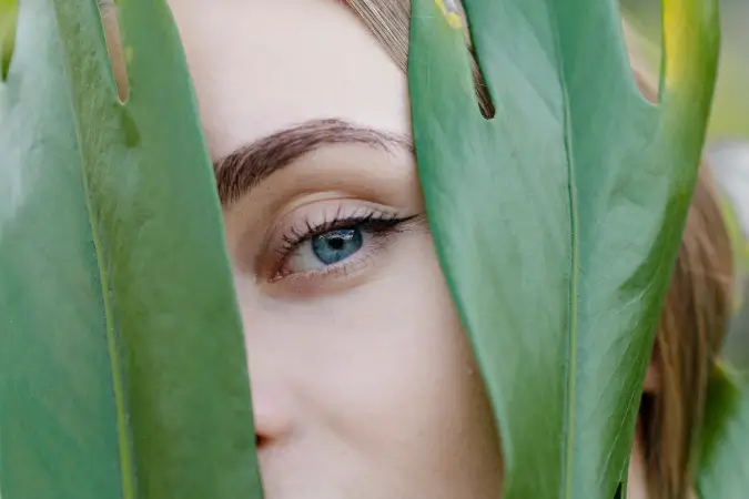 Cluster mirada